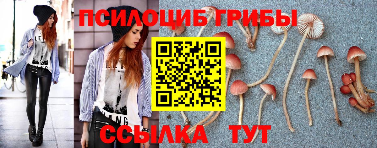 Псилоцибиновые грибы Psilocybe  Вход с VPN  Мыски  Псилоцибиновые грибы прущие грибы 