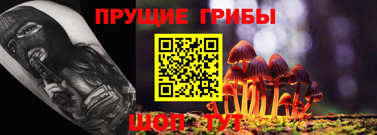 Псилоцибиновые грибы MAGIC MUSHROOMS Мыски